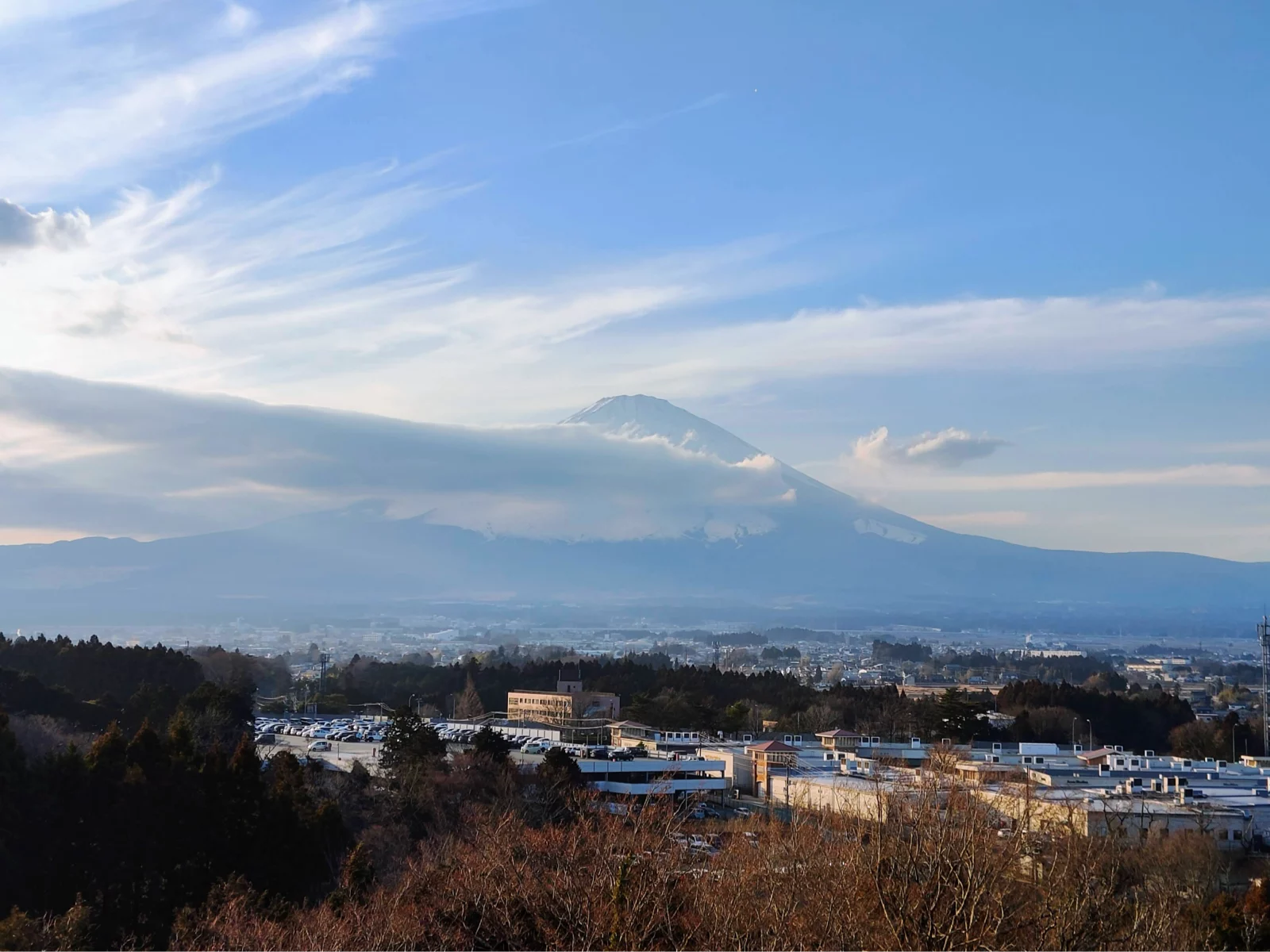 踏破坎坷成大道，斗罢艰险又出发——2024年总结及2025年许愿